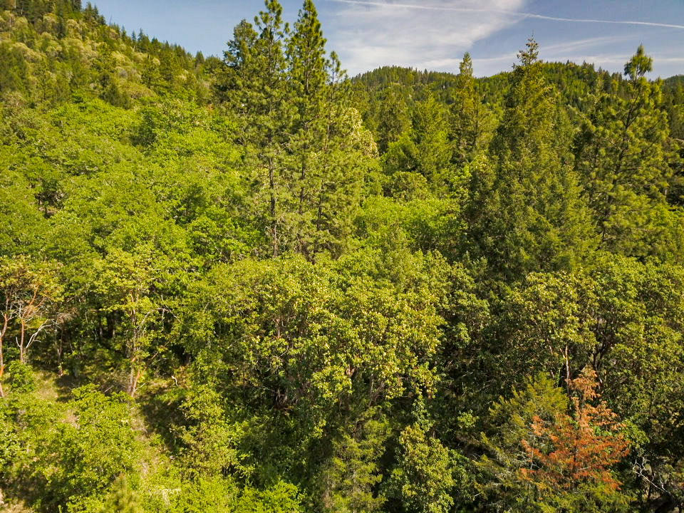 425 Murphy Gulch Road Rogue River, OR 97537 - Photo 19 of 22 IMG_5744