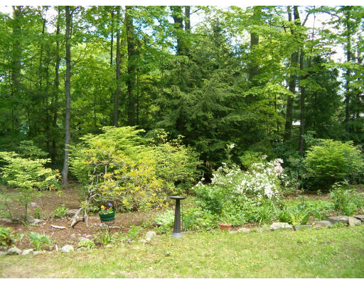 135 Red Gate Lane Amherst, MA 01002 - Photo 5 of 15 a view of a yard