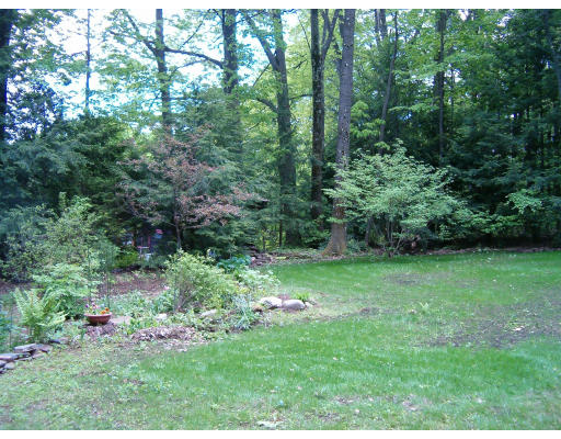 135 Red Gate Lane Amherst, MA 01002 - Photo 6 of 15 a green field with lots of trees