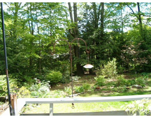 135 Red Gate Lane Amherst, MA 01002 - Photo 7 of 15 a view of a small yard