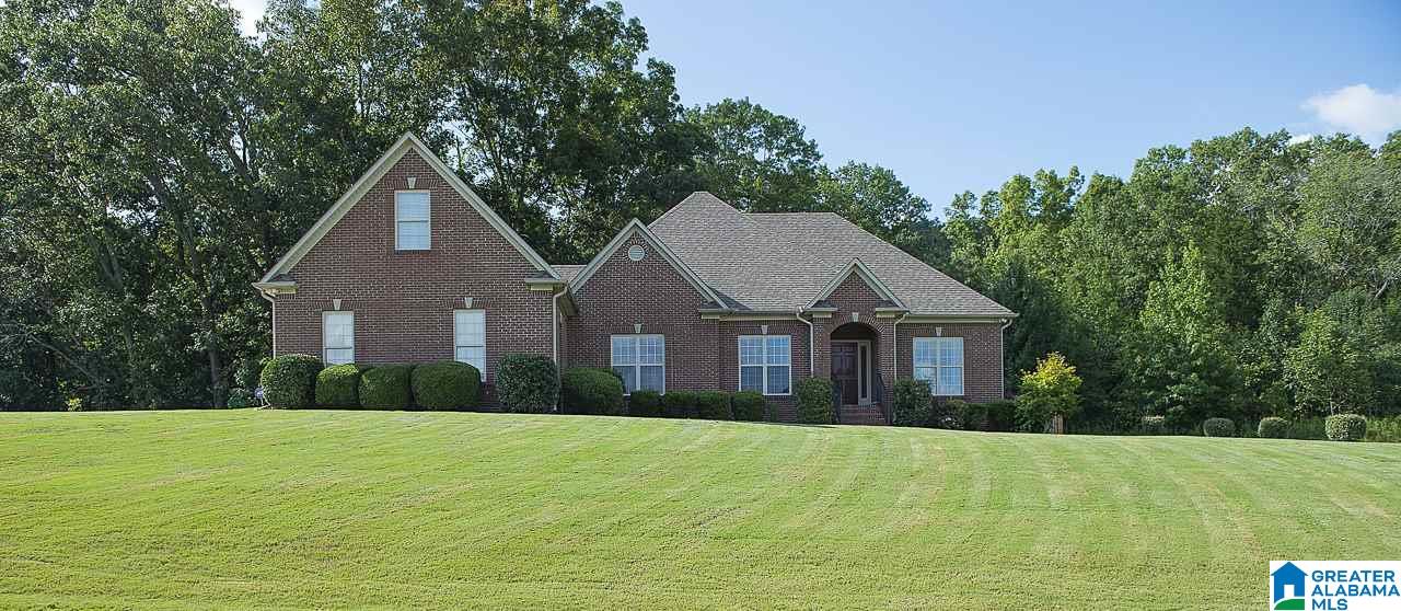 131 Farm Court Springville, AL 35146 - Photo 1 of 14