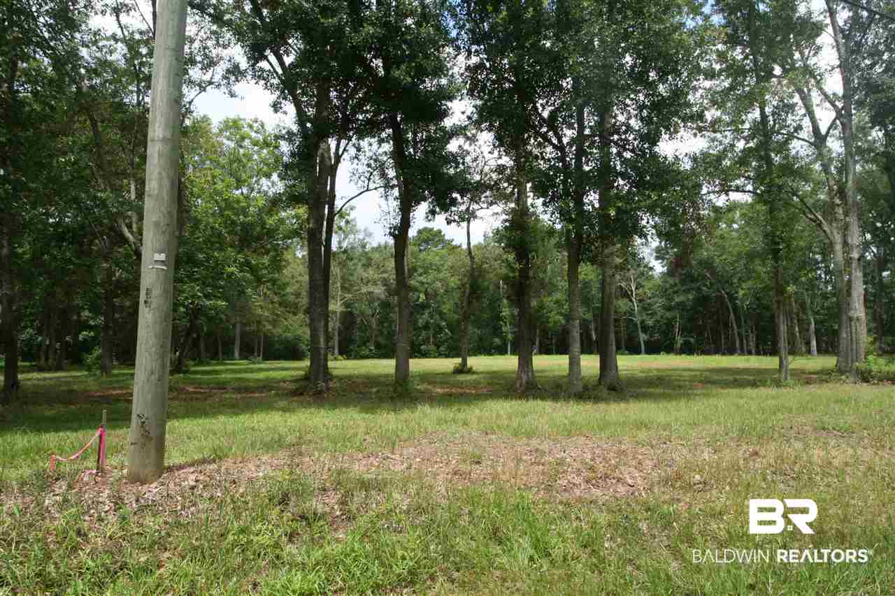 Douglas Road Grand Bay, AL 36541 - Photo 2 of 6