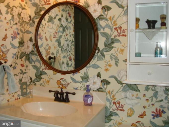 3116 Newcastle Lane Riva, MD 21140 - Photo 11 of 23 a bathroom with a sink and mirror with painted walls