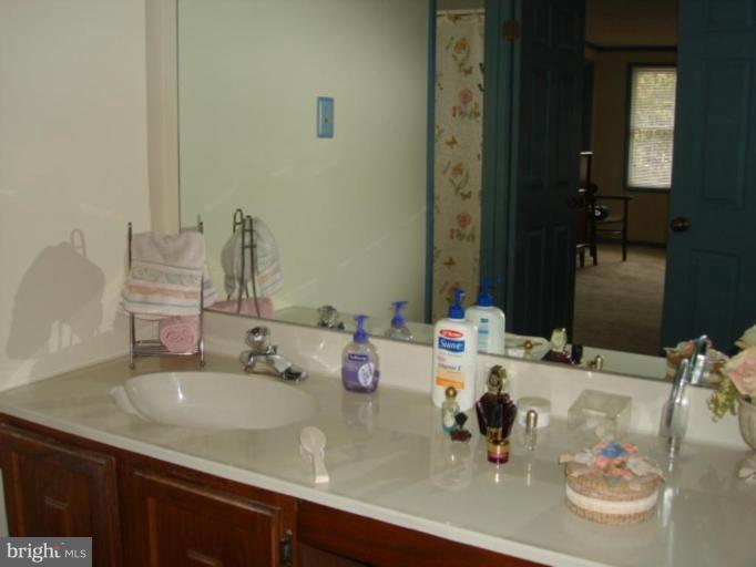 3116 Newcastle Lane Riva, MD 21140 - Photo 16 of 23 a bathroom with a sink and a mirror