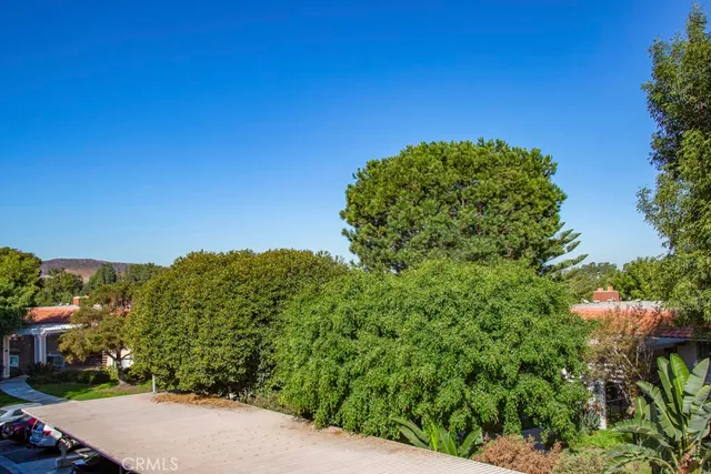 a view of a garden with a building in the background