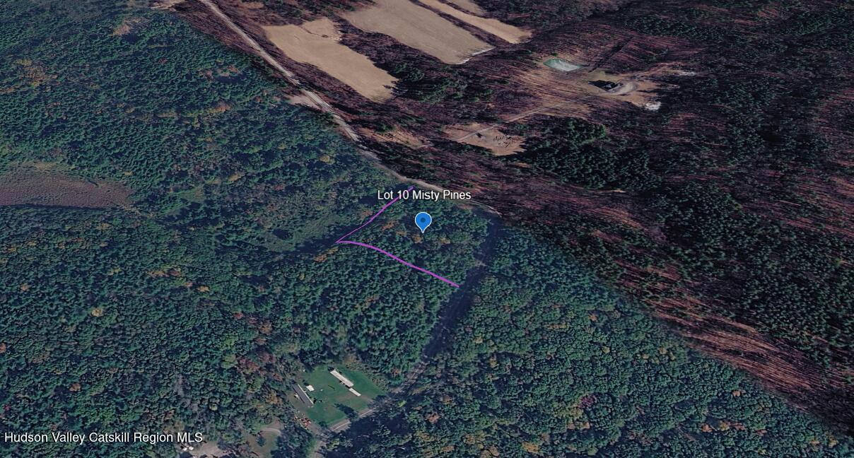 Lot 10 Co Road Hannacroix, NY 12087 - Photo 4 of 12 Screenshot 2026-09-17 225318