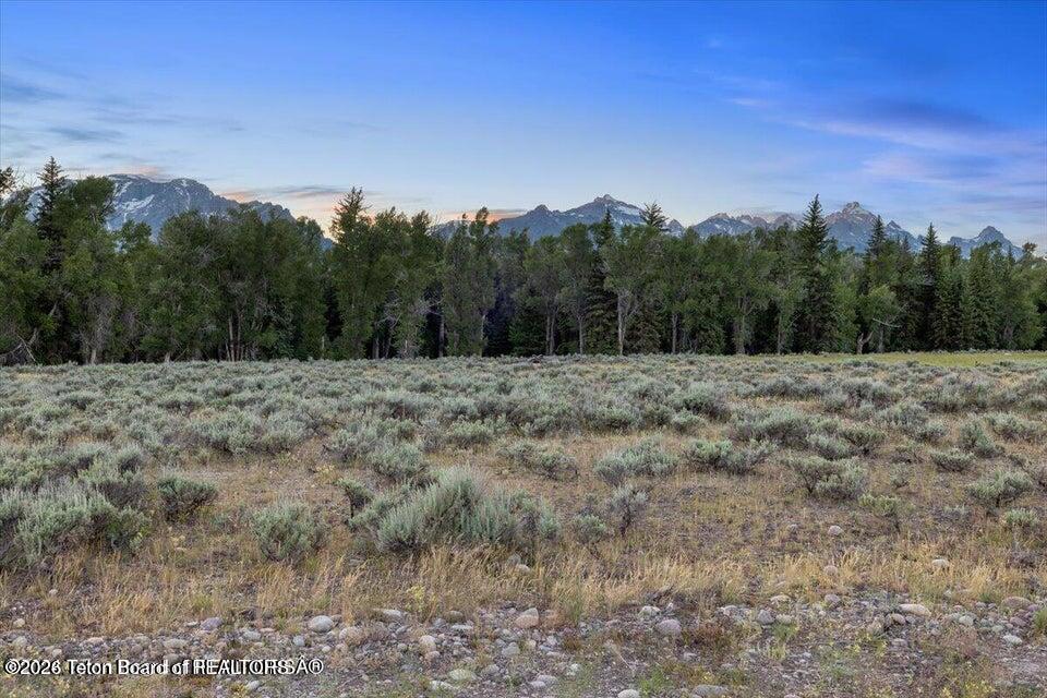 300 Reed Drive Jackson, WY 83001 - Photo 6 of 14 300 9