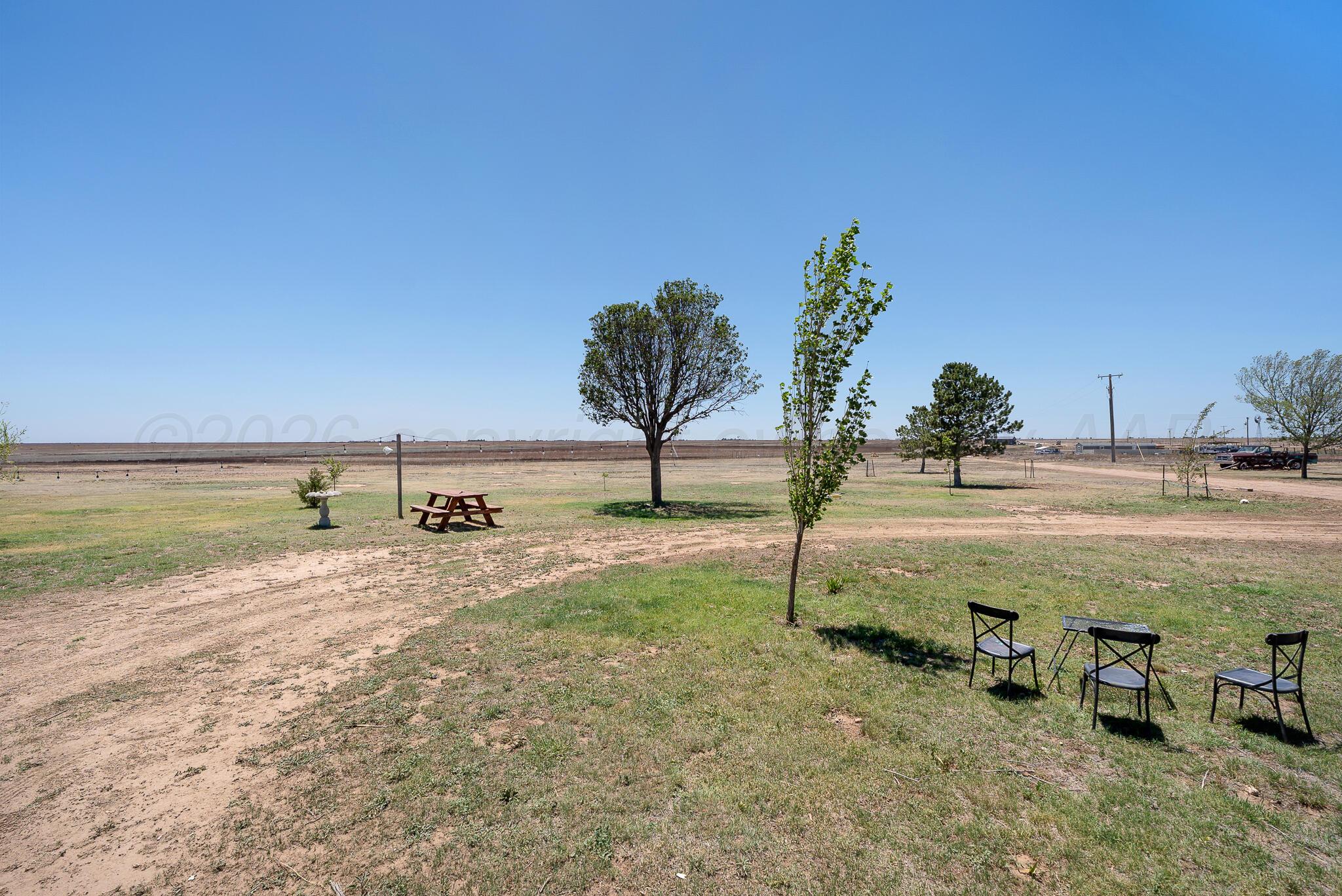 11401 Anderson Road Amarillo, TX 79118 - Photo 39 of 59 Trees