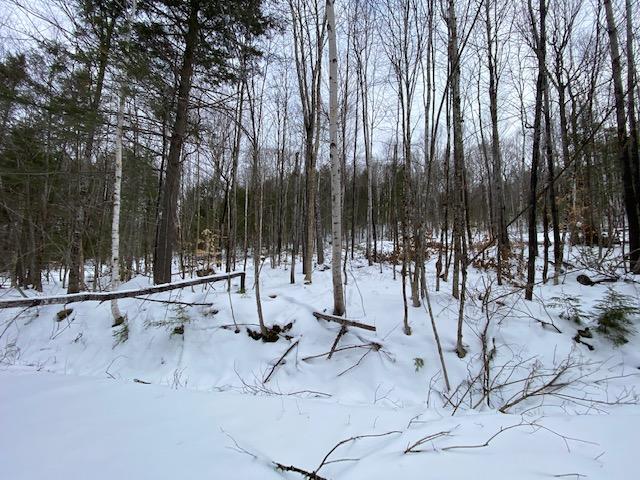 0 Mountain Road Linneus, ME 04730 - Photo 4 of 7 IMG_2411