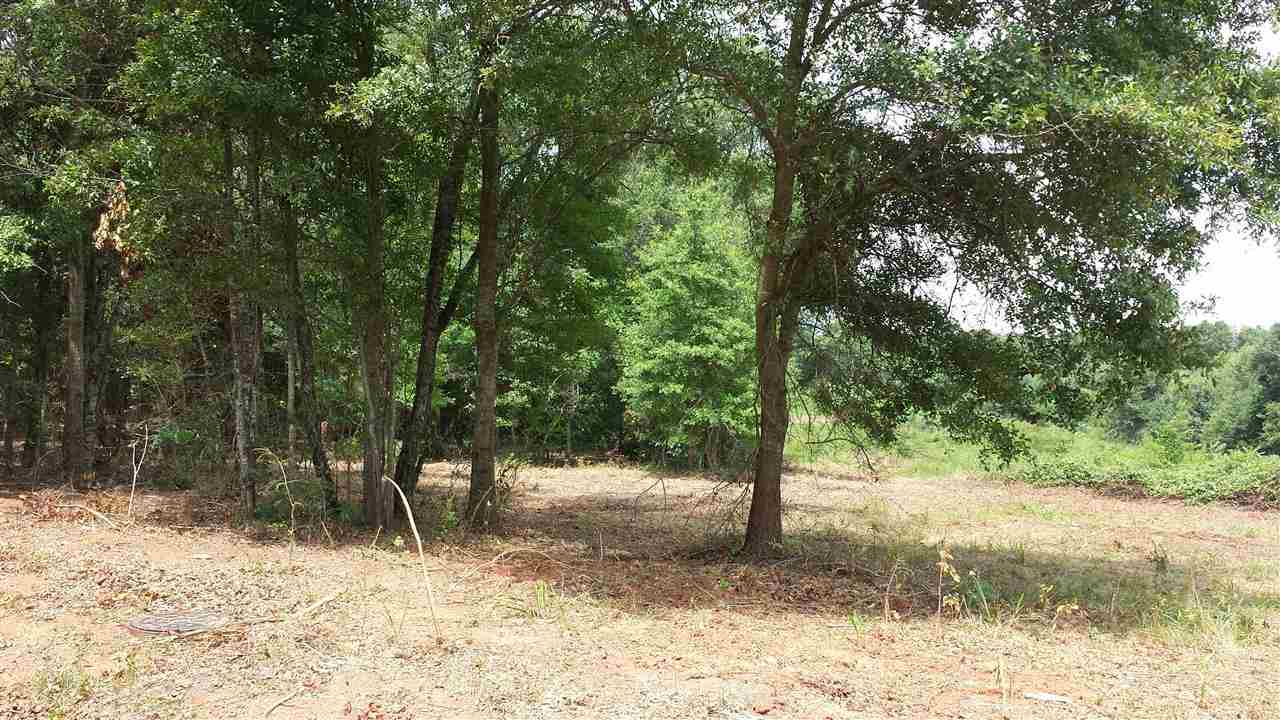 1327 Clinkscales Road, Unit TRACT 4 Anderson, SC 29624 - Photo 3 of 11