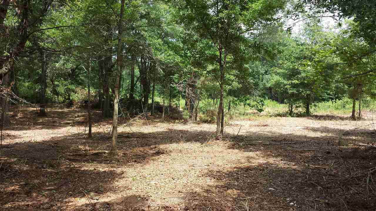 1327 Clinkscales Road, Unit TRACT 4 Anderson, SC 29624 - Photo 5 of 11