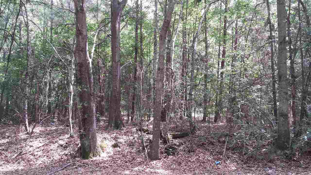 1327 Clinkscales Road, Unit TRACT 4 Anderson, SC 29624 - Photo 10 of 11