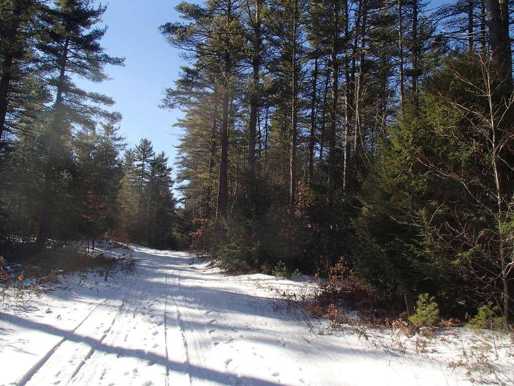 B90-p54 Branch Bridge Road New Salem, MA 01355 - Photo 4 of 26 Gallery Image 4