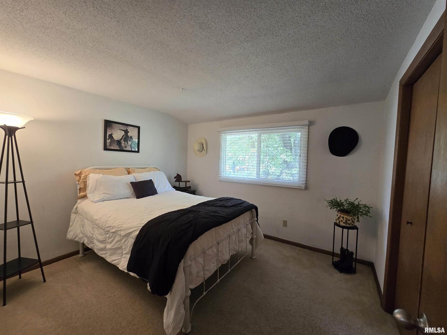 7955 Sugar Grove Road Rushville, IL 62681 - Photo 18 of 28 a bedroom with a bed and a window