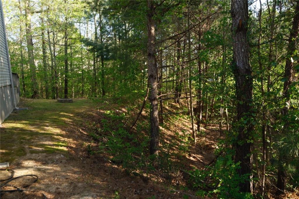 0 Hollyhock Lane Dallas, GA 30132 - Photo 5 of 6