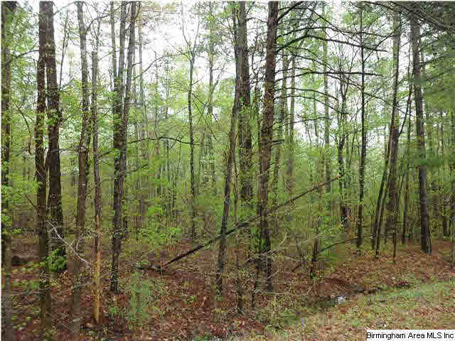 Spring Trail Warrior, AL 35180 - Photo 2 of 2
