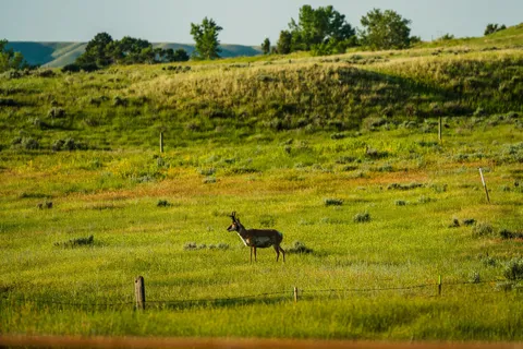 $4,950,000 | Rock Creek Road, Buffalo, WY 82834