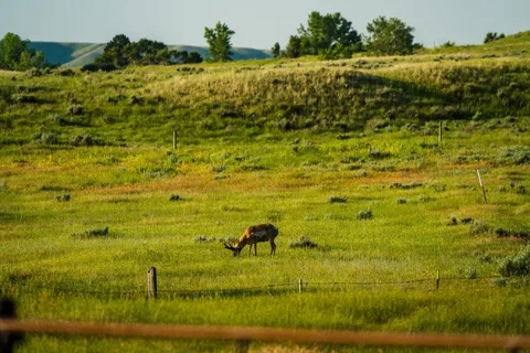 $4,950,000 | Rock Creek Road, Buffalo, WY 82834