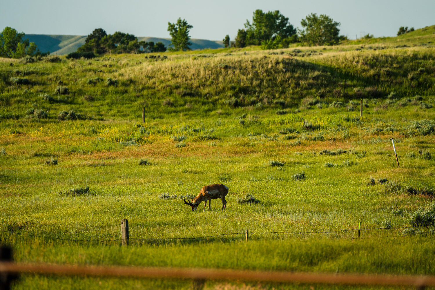 Rock Creek Road Buffalo, WY 82834 - Photo 41 of 45 041_dsc_1477_873