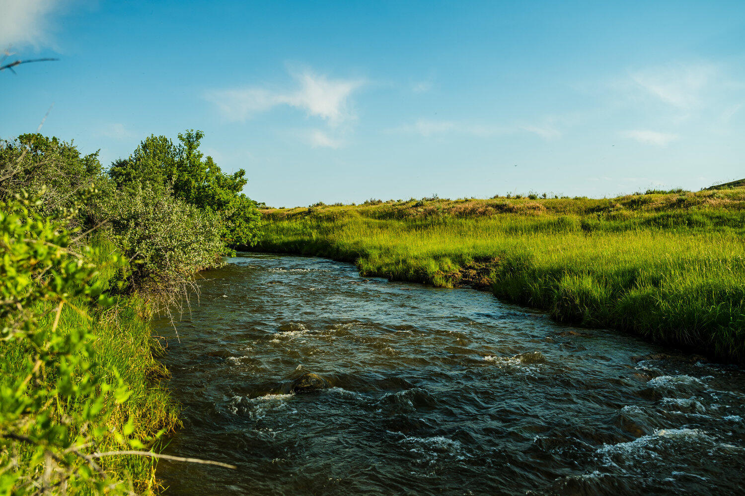 Rock Creek Road Buffalo, WY 82834 - Photo 42 of 45 042_dsc_1487_341