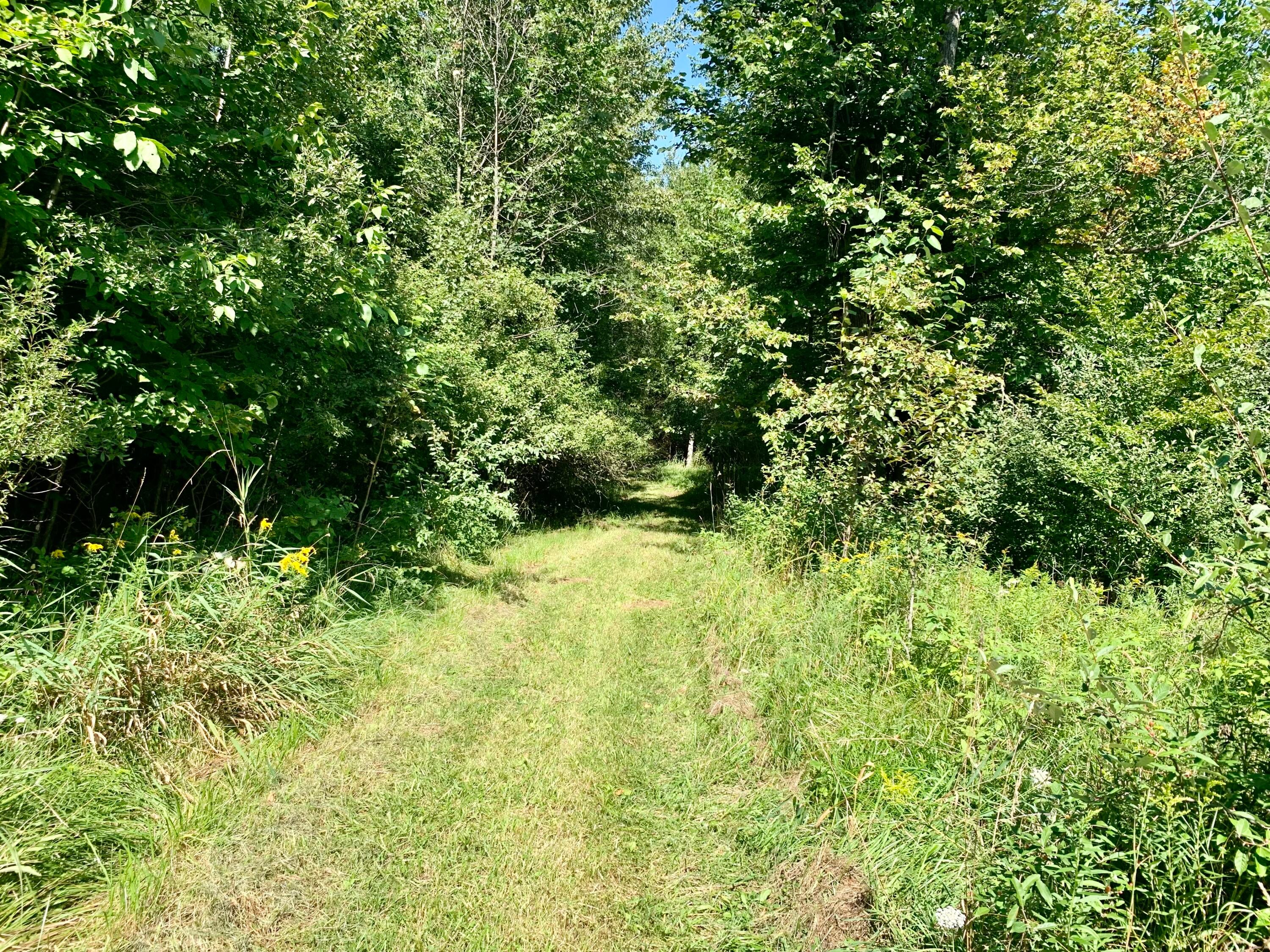 4631 South Branch Road South Branch, MI 48761 - Photo 58 of 63 Gallery Image 58