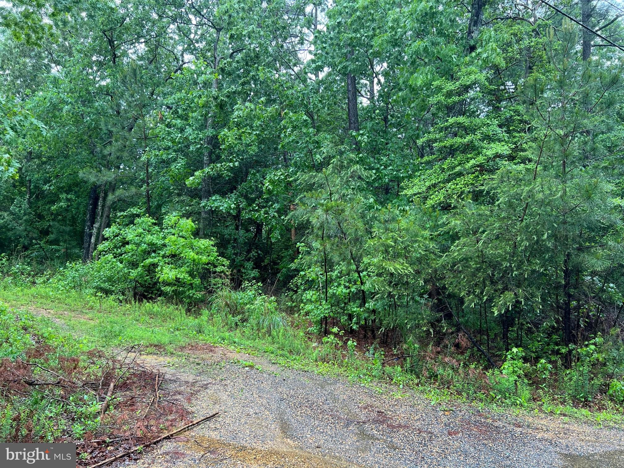 44555 Deerfield Road Leonardtown, MD 20650 - Photo 3 of 5