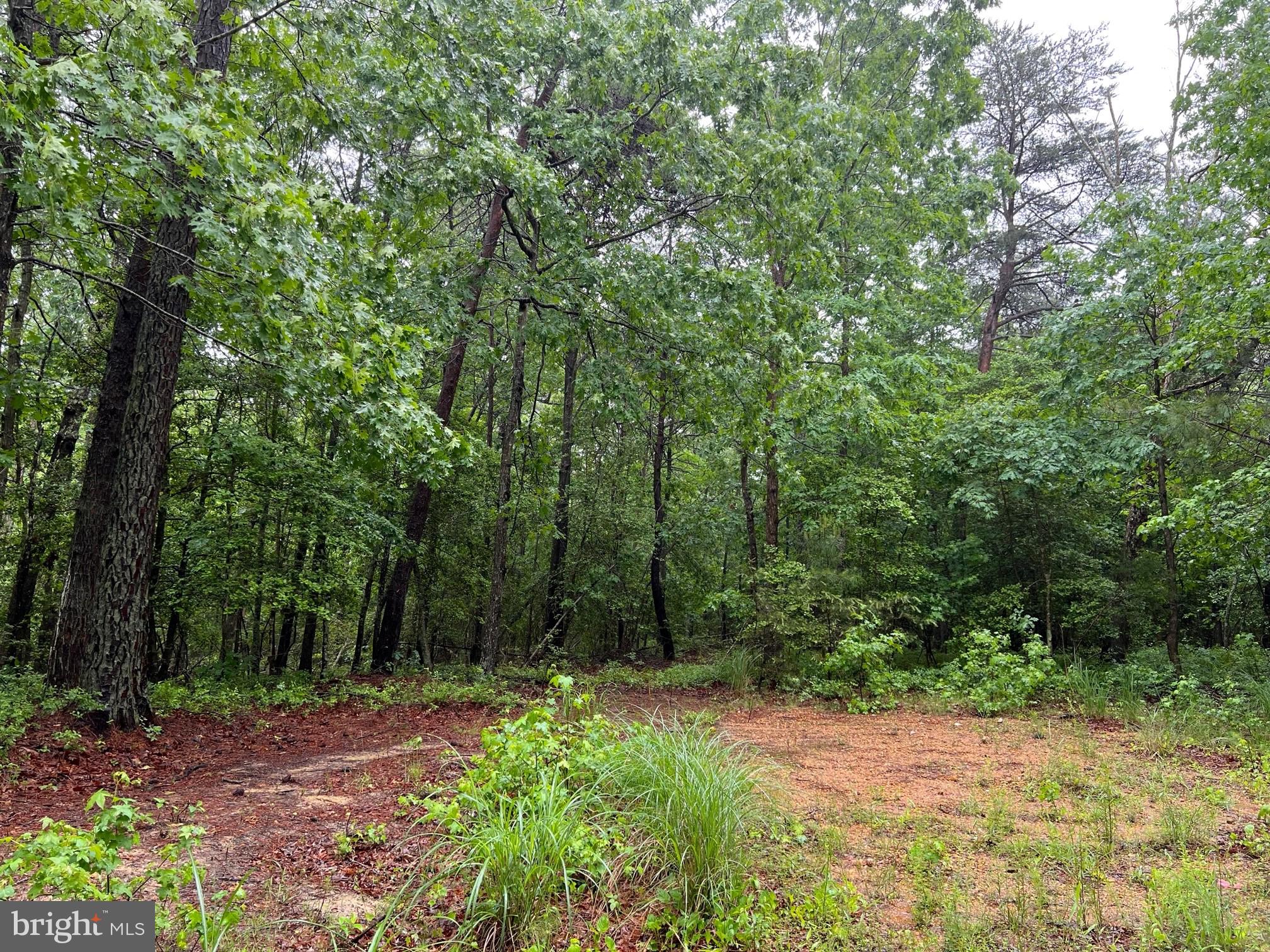 44555 Deerfield Road Leonardtown, MD 20650 - Photo 4 of 5