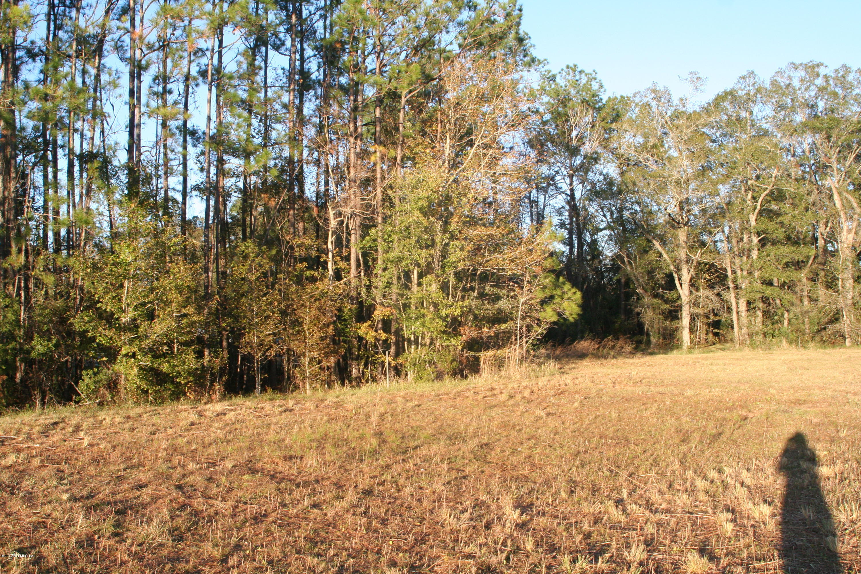 542640 Highway 1 Callahan, FL 32011 - Photo 6 of 12 a view of empty space and covered with snow