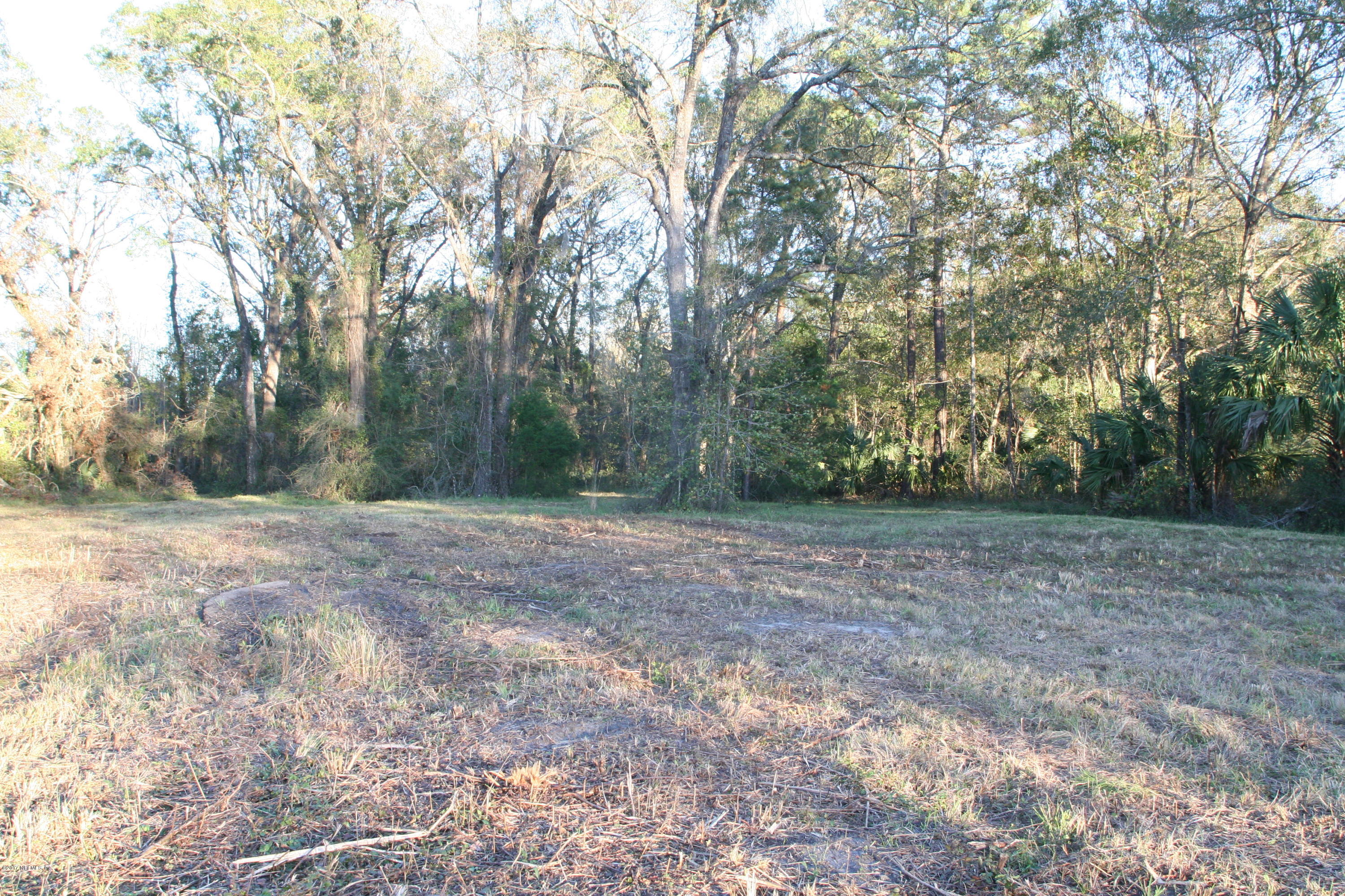 542640 Highway 1 Callahan, FL 32011 - Photo 9 of 12 a view of a yard with a tree