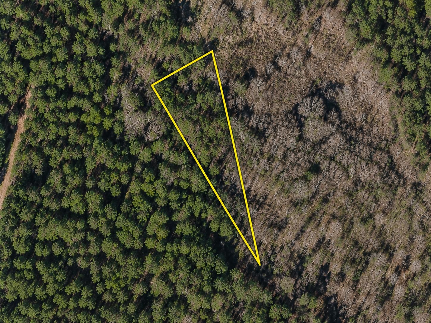 Tbd Gibson Road Greeleyville, SC 29056 - Photo 1 of 1 Gallery Image 1