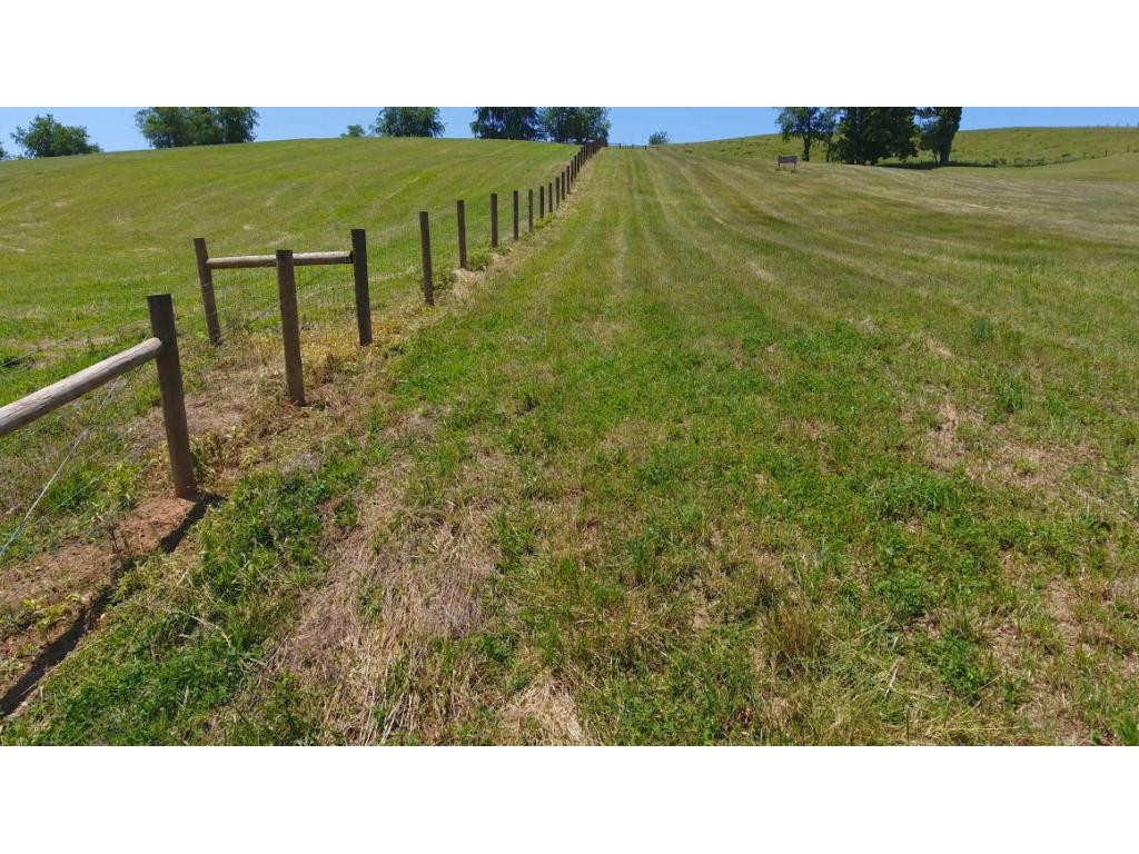 296 Packing House Road Chilhowie, VA 24319 - Photo 30 of 36 Photo 30