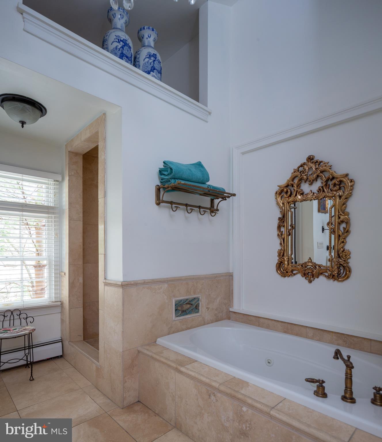 94 Old York Road New Hope, PA 18938 - Photo 19 of 34 Luxurious Master Bathroom