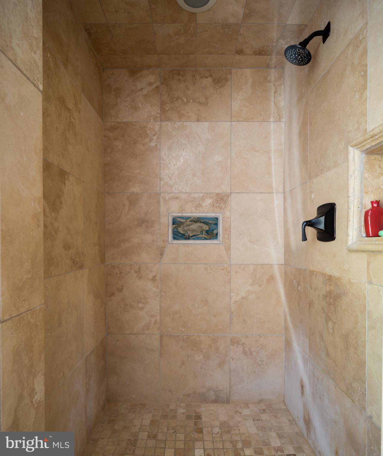 94 Old York Road New Hope, PA 18938 - Photo 20 of 34 Walk-in Shower