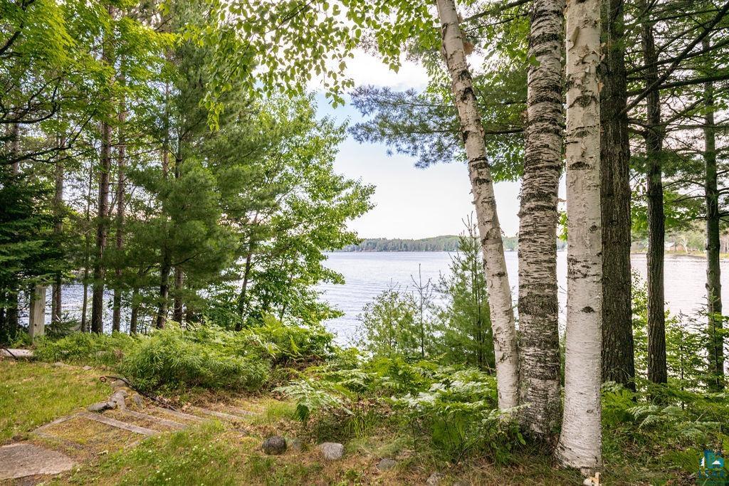 7338 South Maranatha Road Lake Nebagamon, WI 54849 - Photo 11 of 41 Lakefront property featuring a wooded setting, mature birch trees, diverse green foliage, and natural ground cover