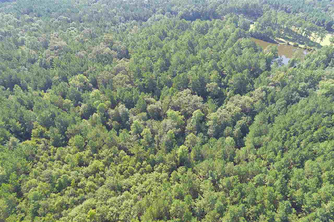 0 Petty Road Brewton, AL 36426 - Photo 1 of 7