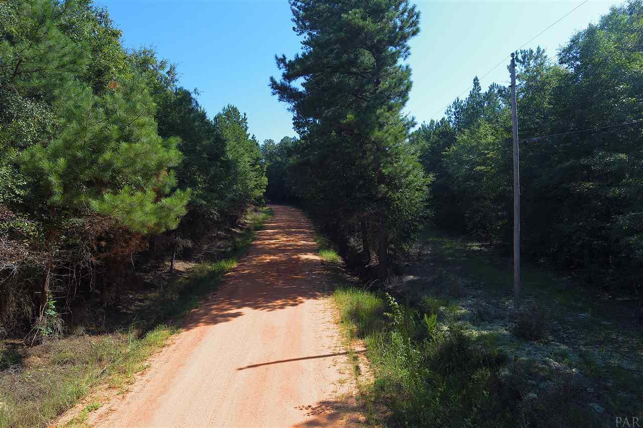 0 Petty Road Brewton, AL 36426 - Photo 2 of 7