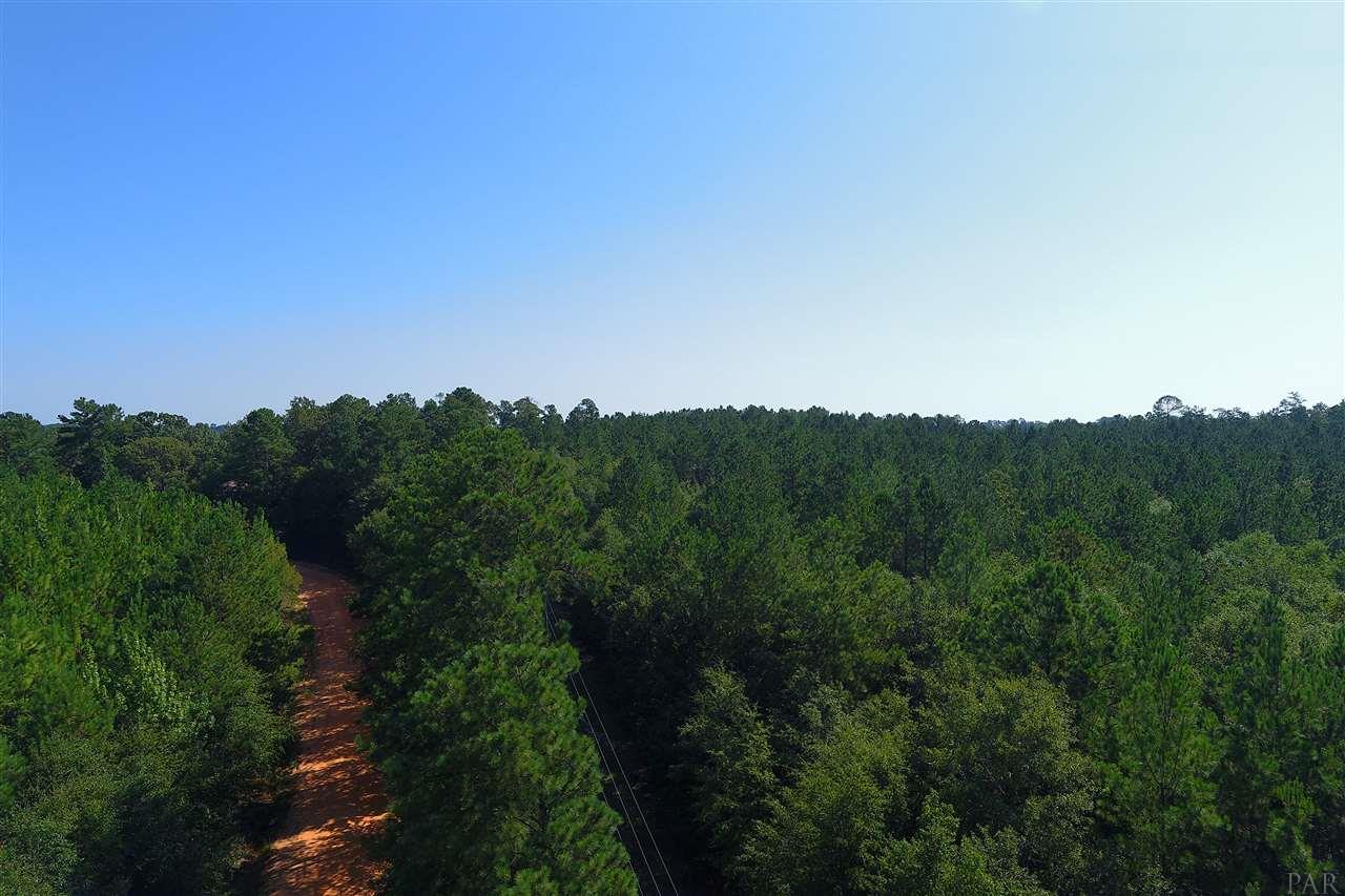 0 Petty Road Brewton, AL 36426 - Photo 3 of 7
