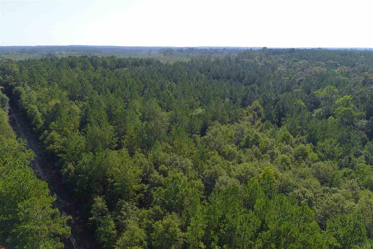 0 Petty Road Brewton, AL 36426 - Photo 4 of 7