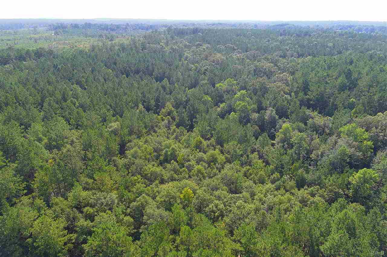 0 Petty Road Brewton, AL 36426 - Photo 5 of 7