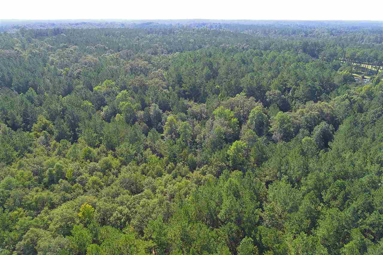 0 Petty Road Brewton, AL 36426 - Photo 6 of 7