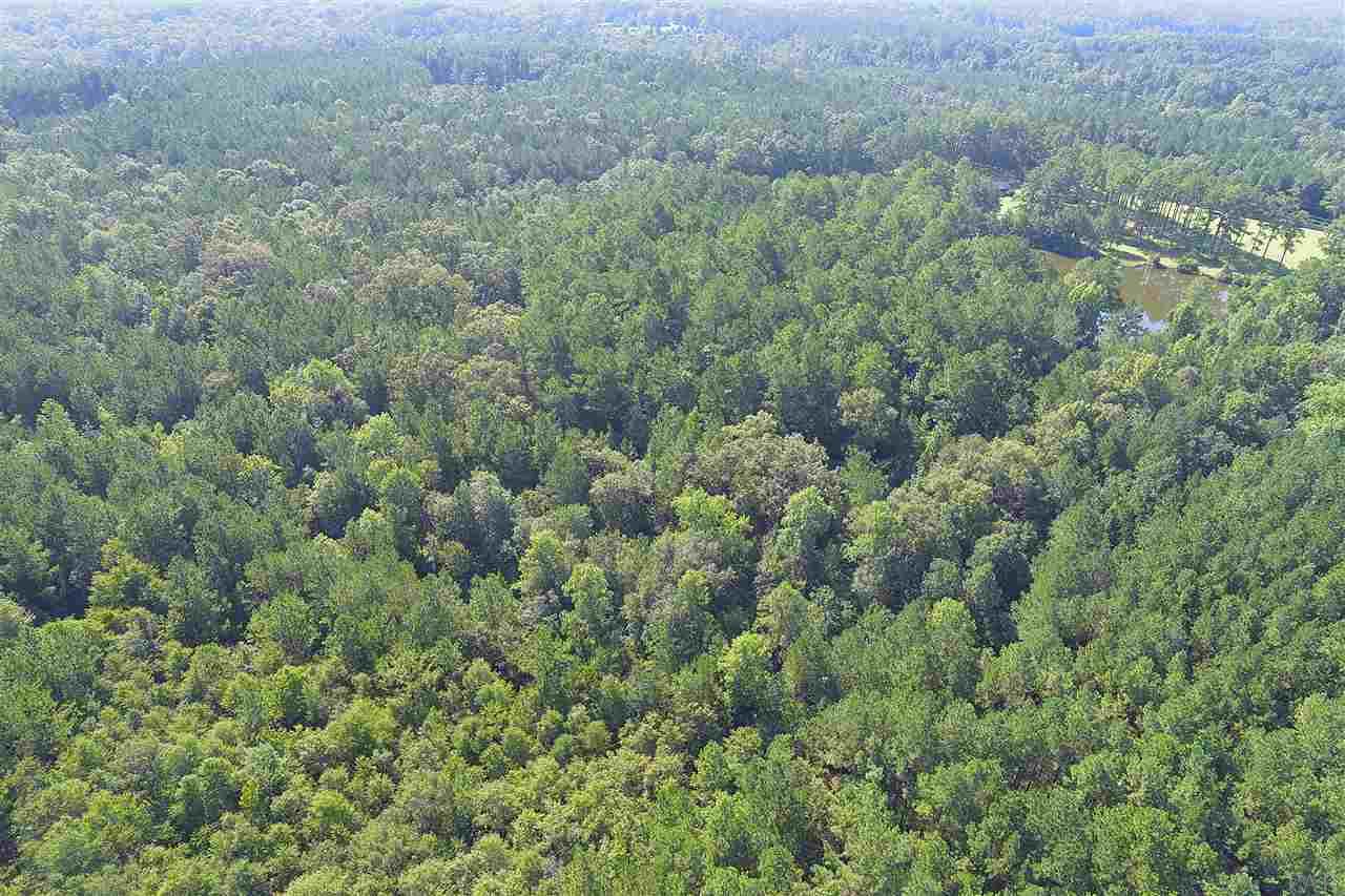 0 Petty Road Brewton, AL 36426 - Photo 7 of 7