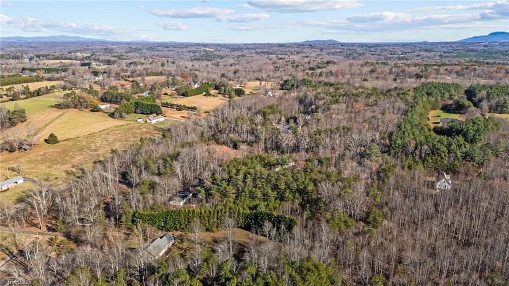 0 Simmons Road Pilot Mountain, NC 27041 - Photo 4 of 11