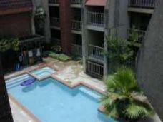 a view of backyard with plants