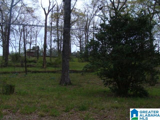 406 Caffe Ridge, Unit PARCEL Woodstock, AL 35188 - Photo 30 of 30