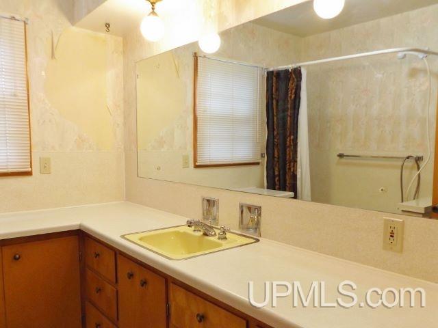 406 3rd Street Alpha, MI 49902 - Photo 4 of 26 Gallery Image 4