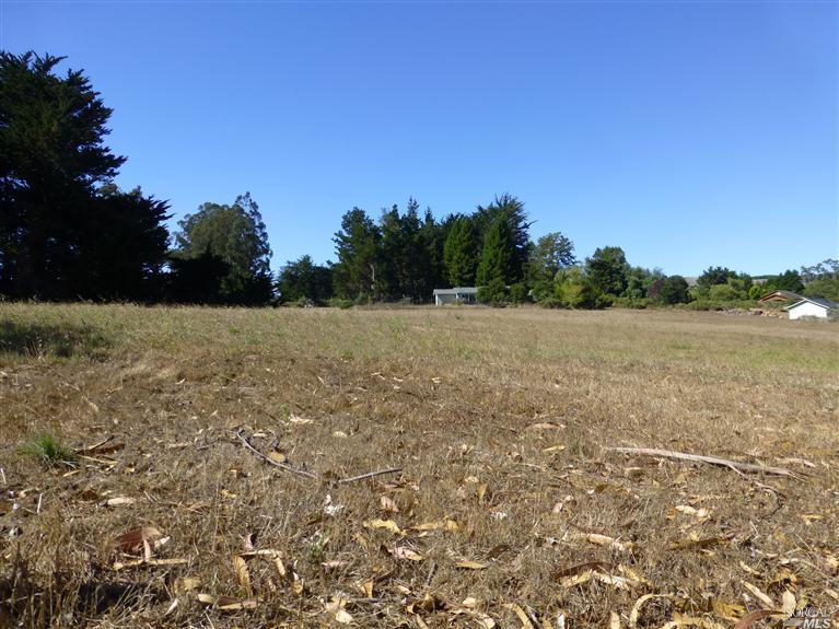 147 Mesa Road Point Reyes Station, CA 94956 - Photo 1 of 1 a backyard of a house with lots of green space
