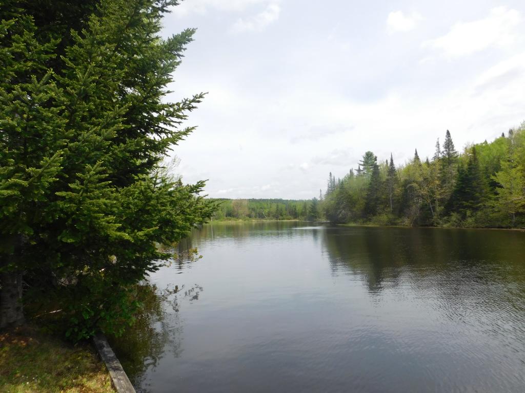2746 Dam Road Errol, NH 03579 - Photo 17 of 31