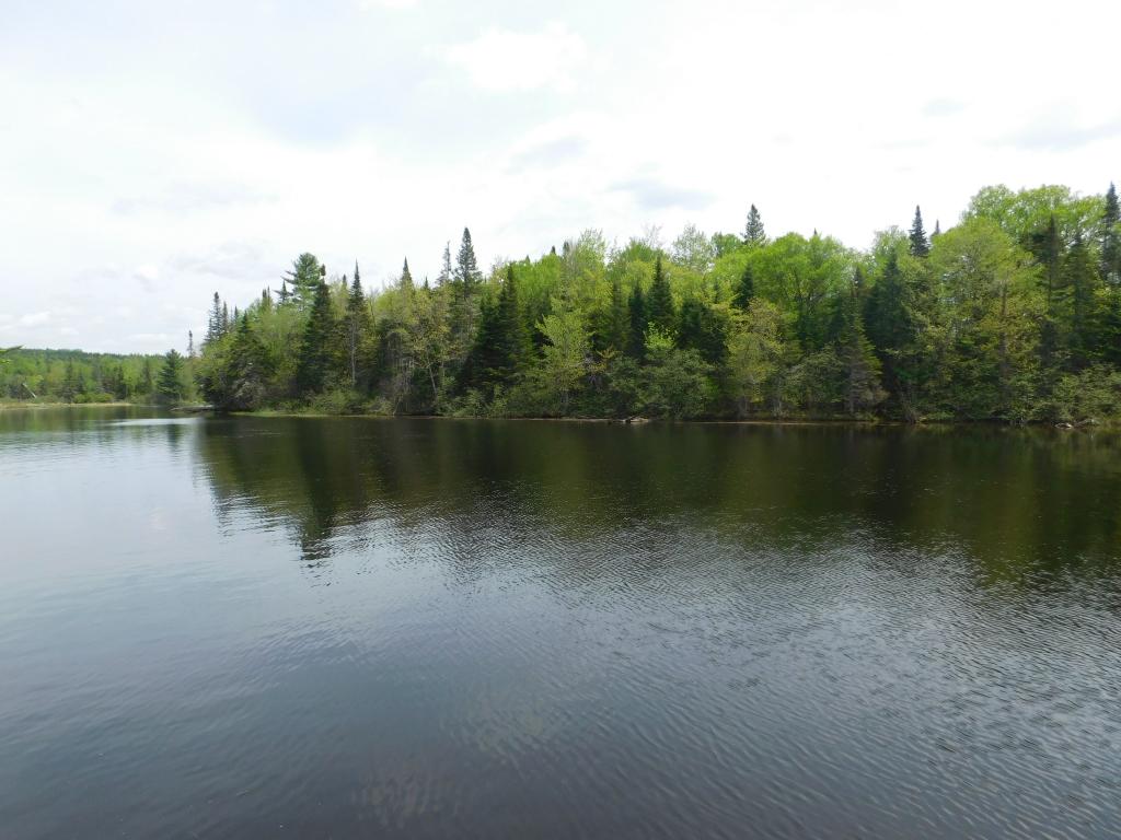 2746 Dam Road Errol, NH 03579 - Photo 18 of 31