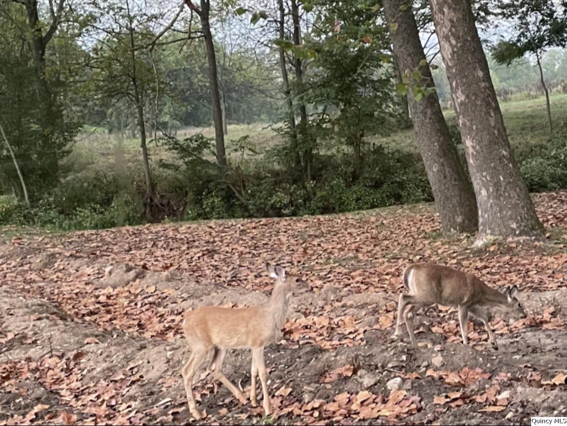 8508 Centerville Road Hannibal, MO 63401 - Photo 35 of 36 a view of an outdoor space
