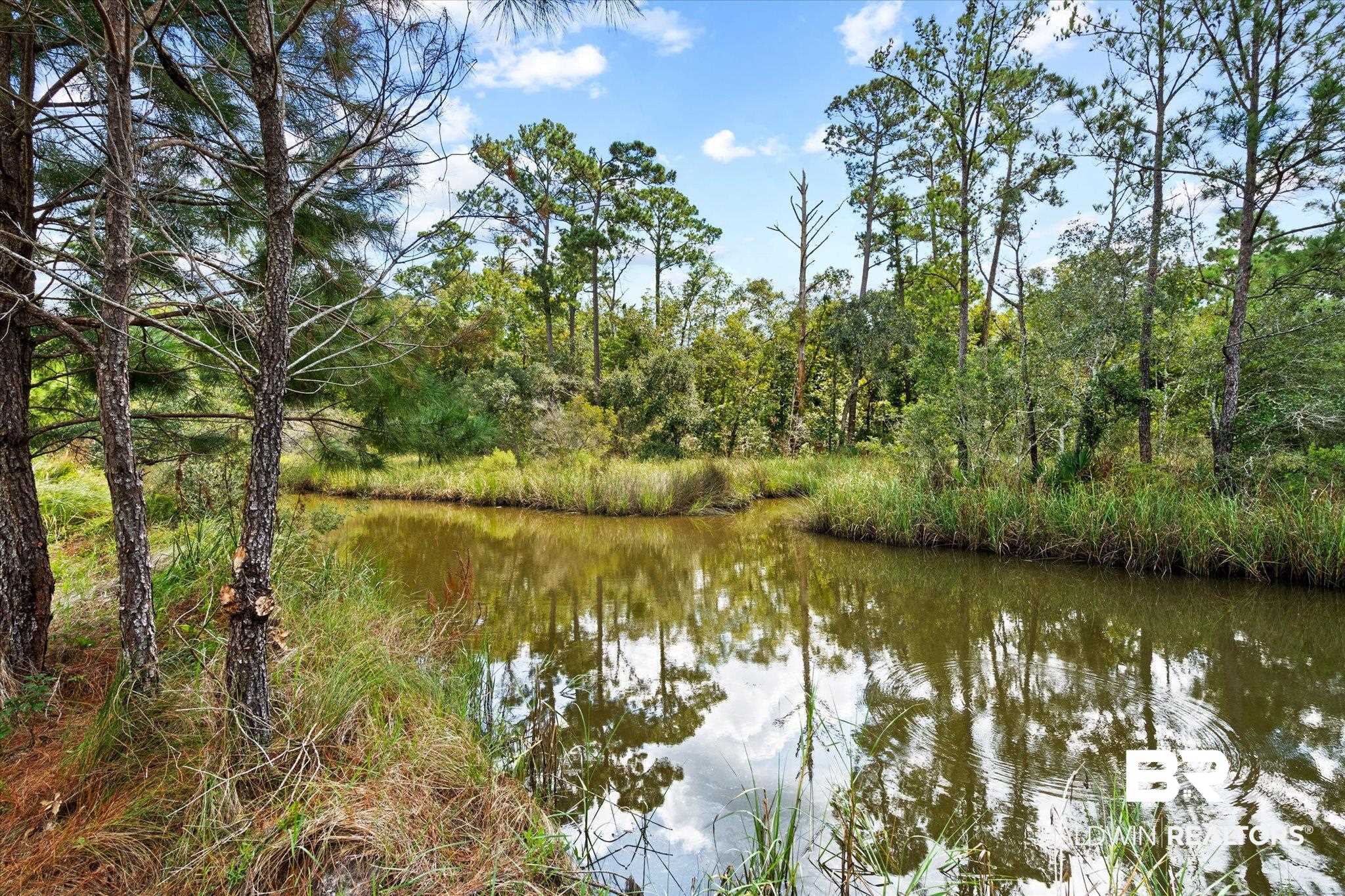 16808 Witt Road Bon Secour, AL 36511 - Photo 11 of 31 Water view